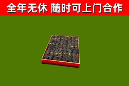 玉溪回收海参